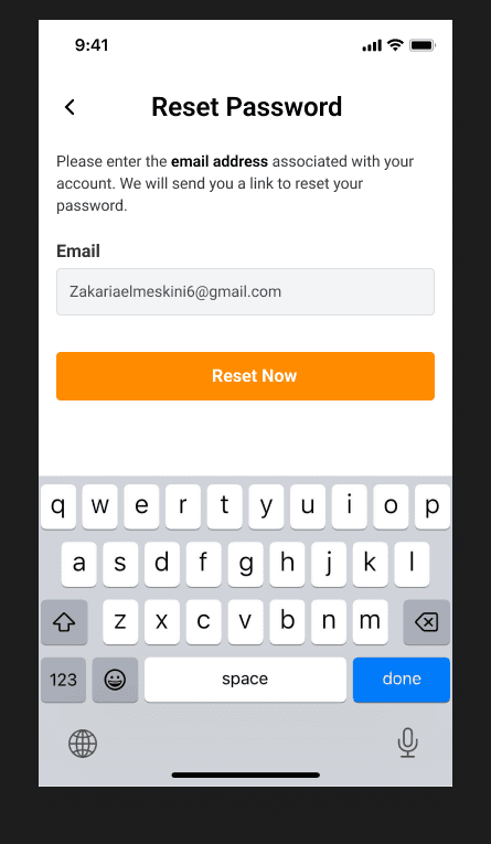 Travel account password-reset form with the email field active