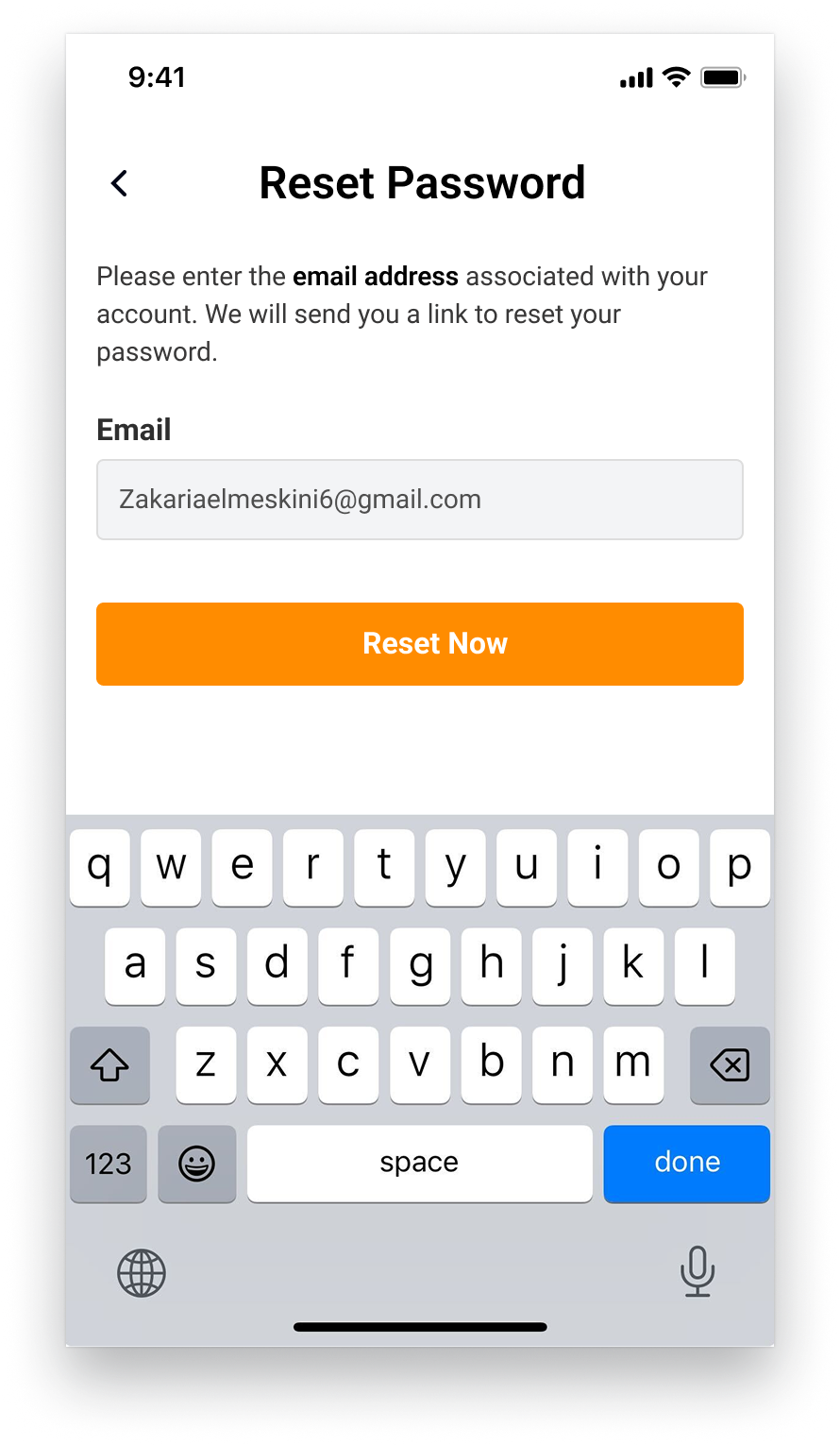 Reset Password screen